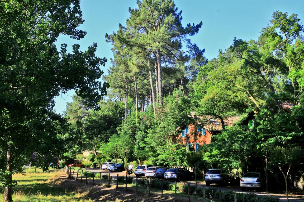Village Nature Et Ocean A Cote De La Plage Avec Piscine Et Jacuzzi Messanges  Exterior foto