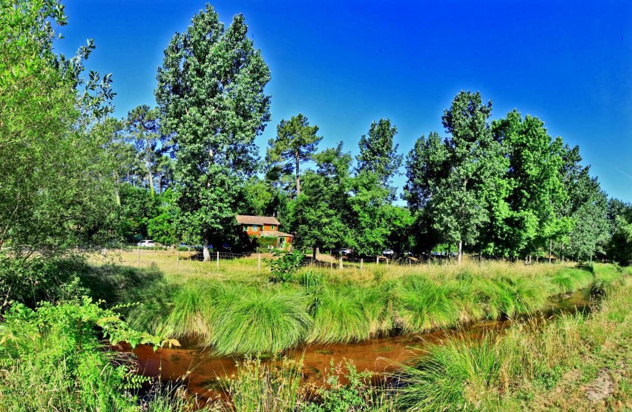 Village Nature Et Ocean A Cote De La Plage Avec Piscine Et Jacuzzi Messanges  Exterior foto