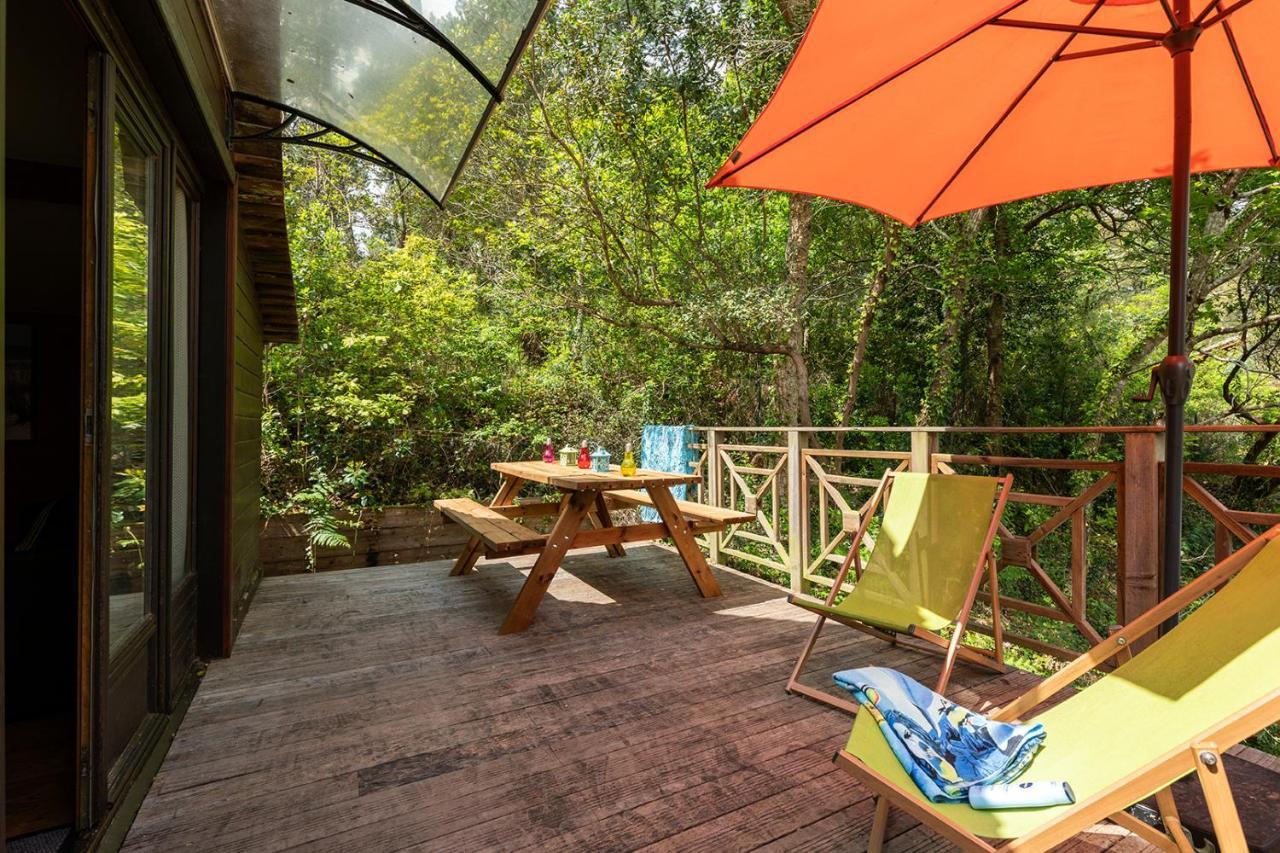 Village Nature Et Ocean A Cote De La Plage Avec Piscine Et Jacuzzi Messanges  Exterior foto